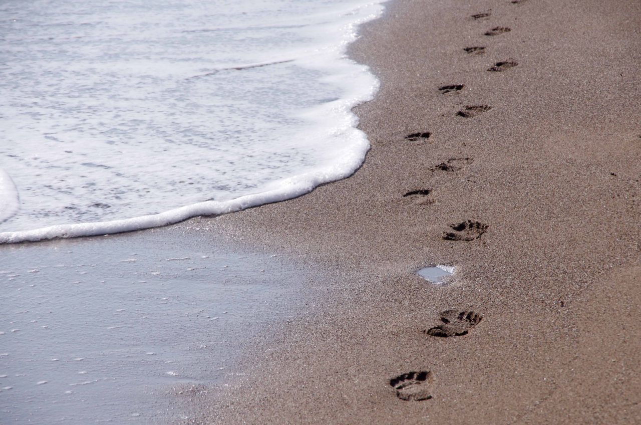 Why Would Someone Run Barefoot? Doctor Mitch Wachtel North Andover